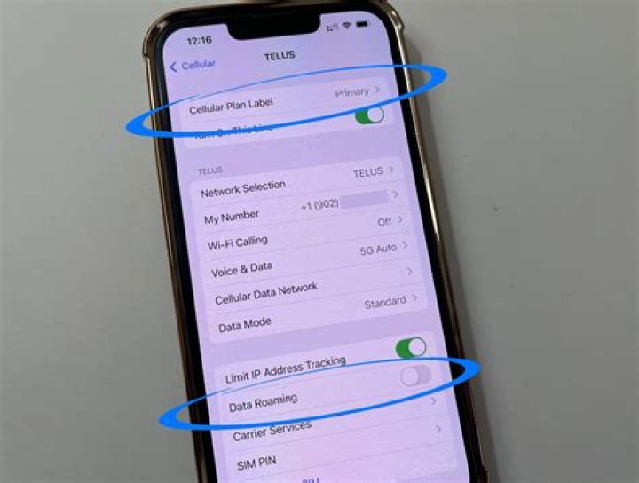 How do I set my phone to international roaming?