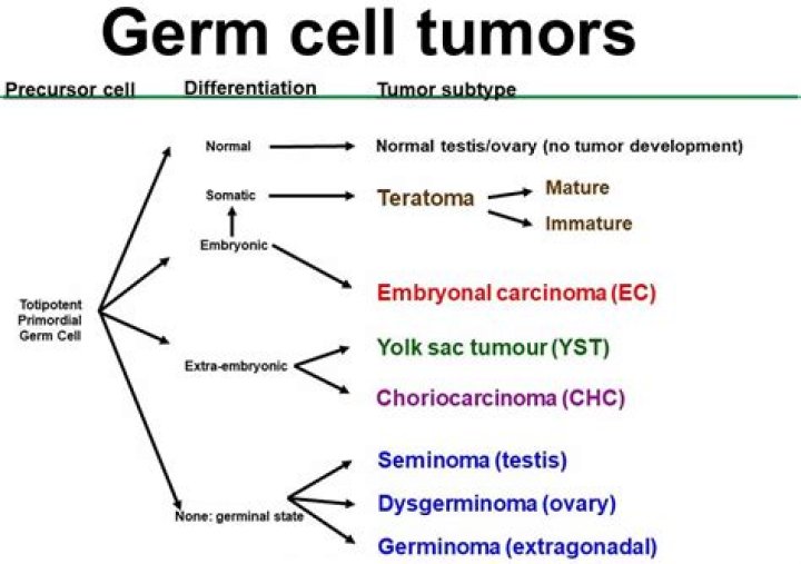 How is germ cell tumors diagnosed?