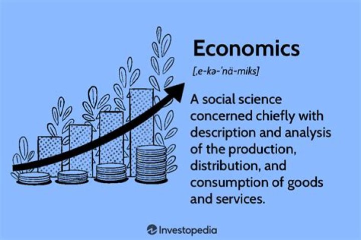 What does economist mean in economics?