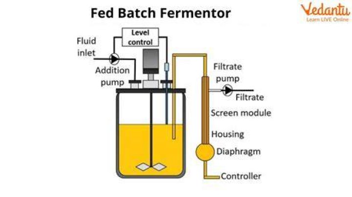 What is meant by fed-batch culture?