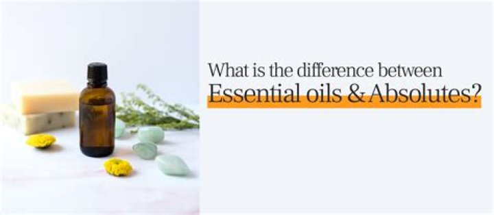 What is the difference between essential oils and absolutes?