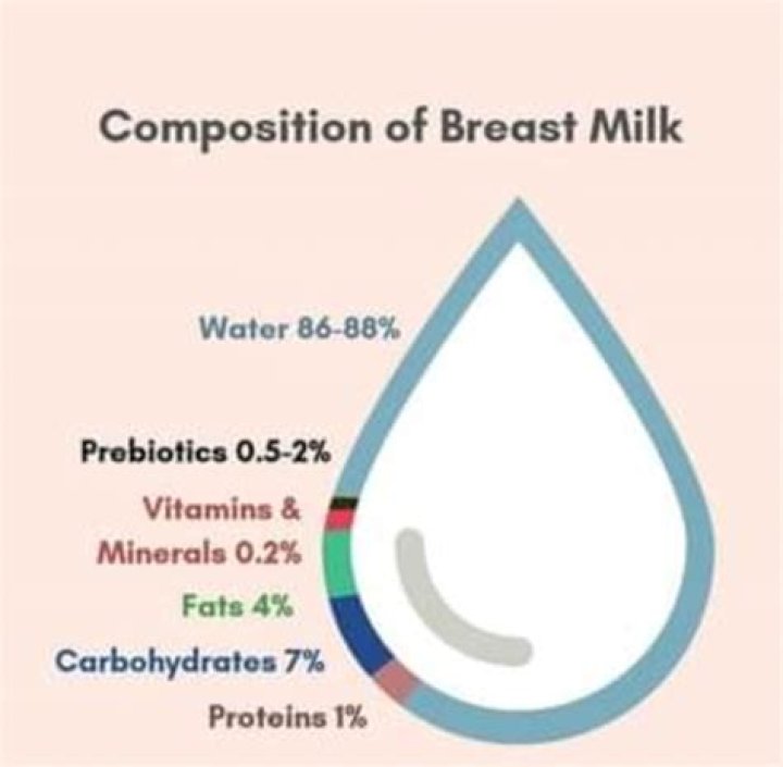 What is the fat composition in human milk?