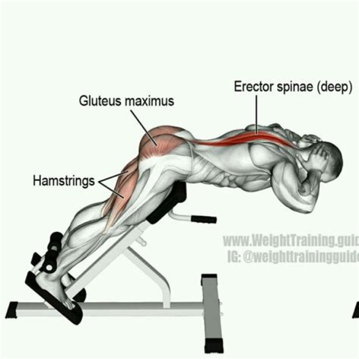 What muscles does a hyperextension bench work?