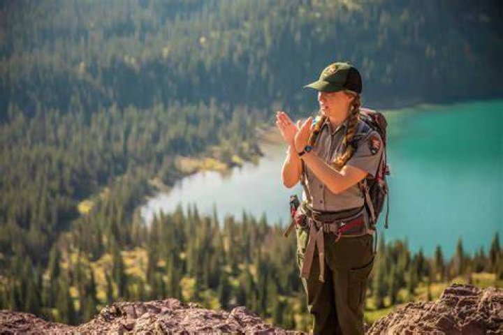 What was the purpose of the conservationist movement?